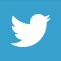 twitterbirdwhiteonblue